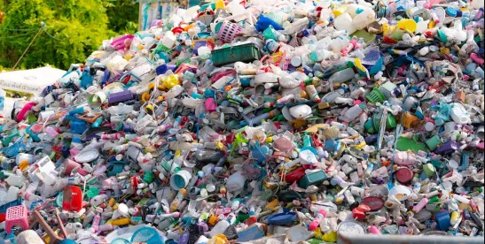 New Mexico First State to Require Labels on All Products with PFA