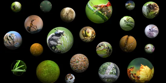 Center for Biological Diversity Submits Petition to List Spadefoo