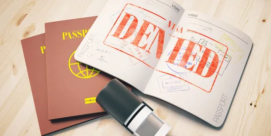 RFEs, NOIDs, and Denials Increase for Unemployed H-1B Workers