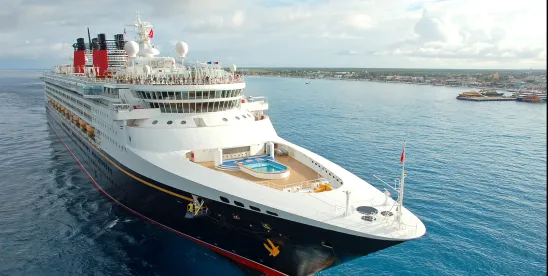 Hantavirus, Rodent Control, and FIFRA- Cruise Control