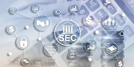 First Public Remarks by New SEC Enforcement Director